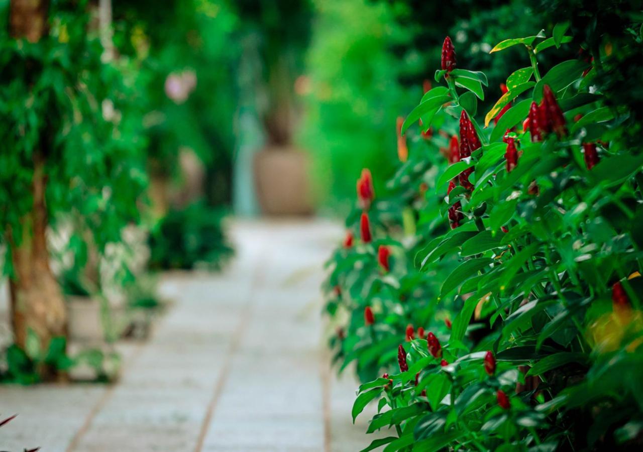 Sunlight Bungalow Phu Quoc Exterior photo